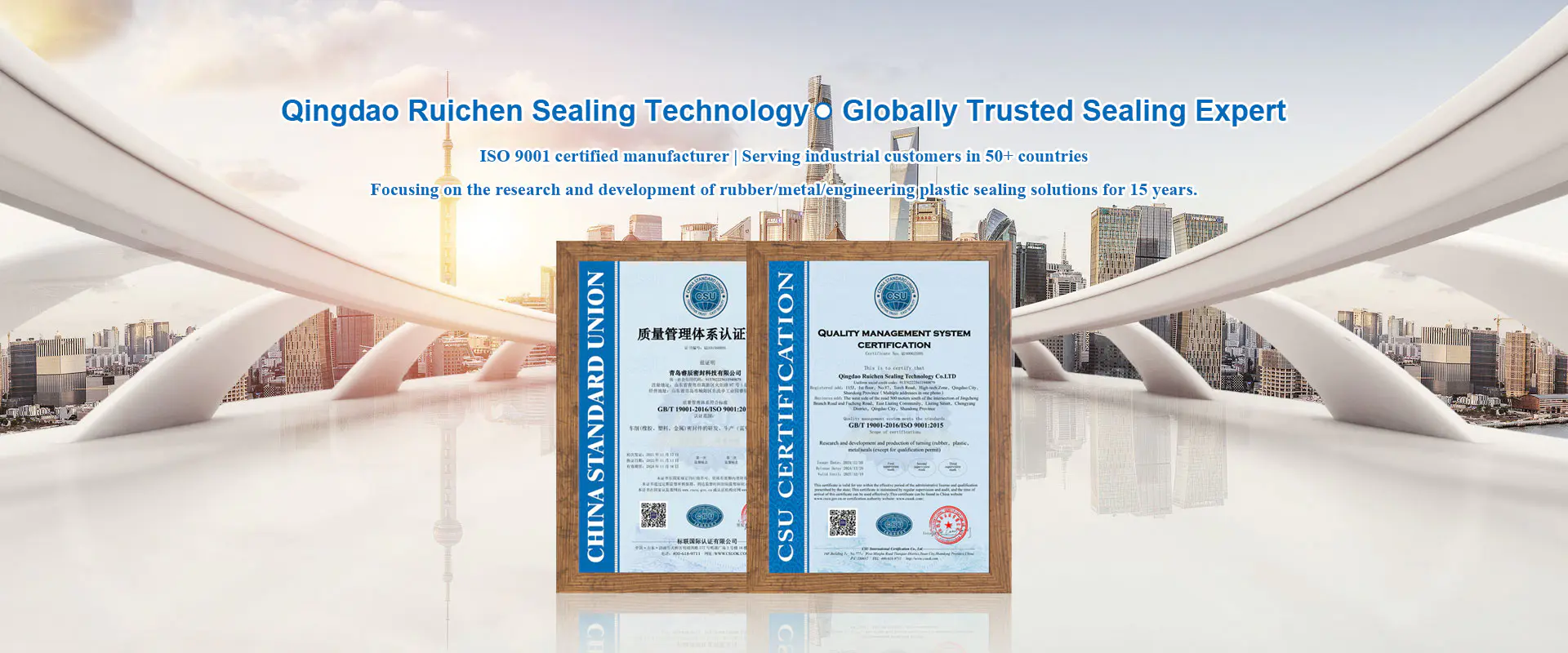 Hersteller von China -Versiegelungsteilen