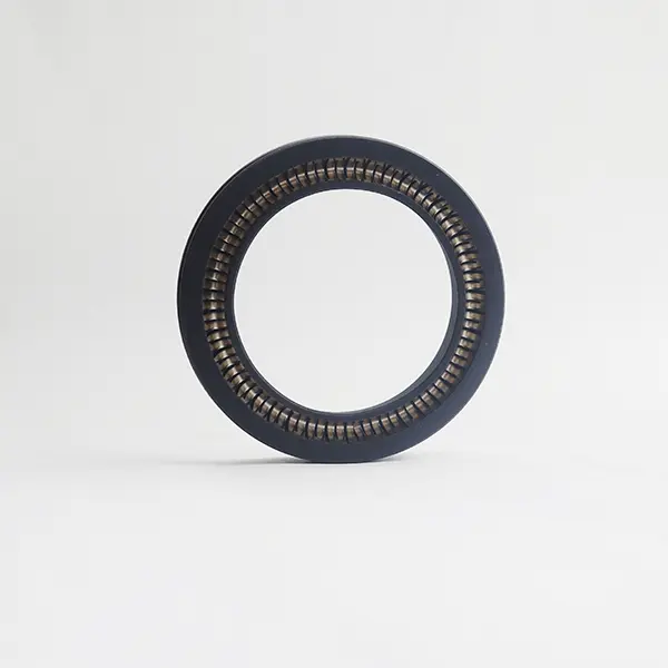 Rotary Spring Energized Seals Rotary Spring Energized Seals