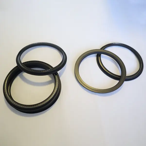 Rotary Spring Energized Seals Rotary Spring Energized Seals