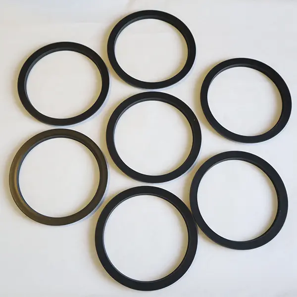 Rotary Spring Energized Seals Rotary Spring Energized Seals
