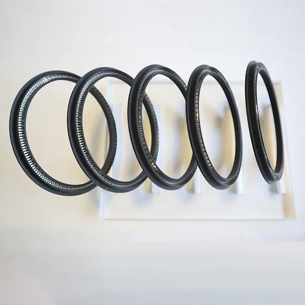 Rotary Spring Energized Seals Rotary Spring Energized Seals