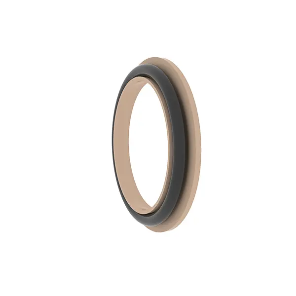 Rotary Spring Energized Seals Rotary Spring Energized Seals