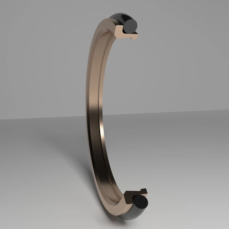 Dust Seal Turning Seals