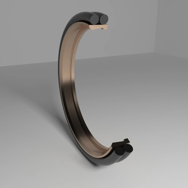 Dust Seal Turning Seals